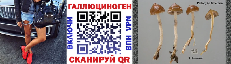 Псилоцибиновые грибы ЛСД  Козловка 