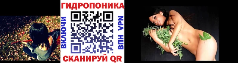 наркота  Козловка  МАРИХУАНА сатива 
